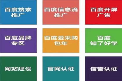 SEM外包服务应用案例分析